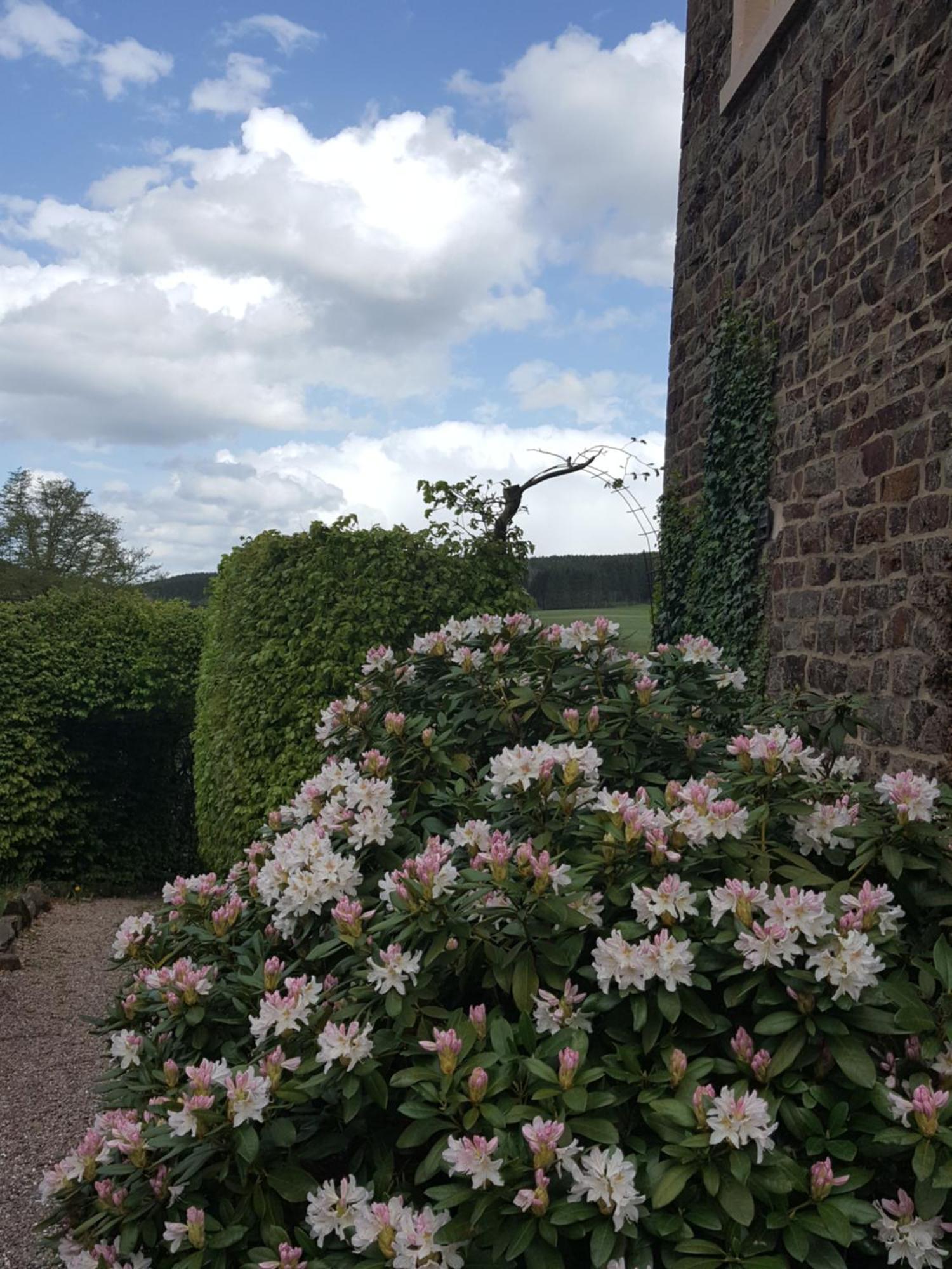Die Alte Schule Haeuschen 圣维特 客房 照片